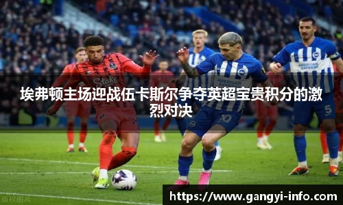 埃弗顿主场迎战伍卡斯尔争夺英超宝贵积分的激烈对决