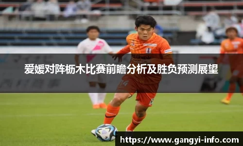 爱媛对阵枥木比赛前瞻分析及胜负预测展望